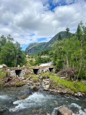 Haukedalen mountain panorama river view